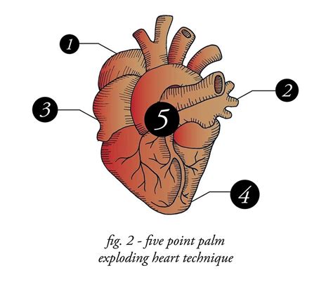 5 Point Palm Exploding Heart Technique "5-Point Palm Exploding Heart Technique" by MLR2 | Redbubble